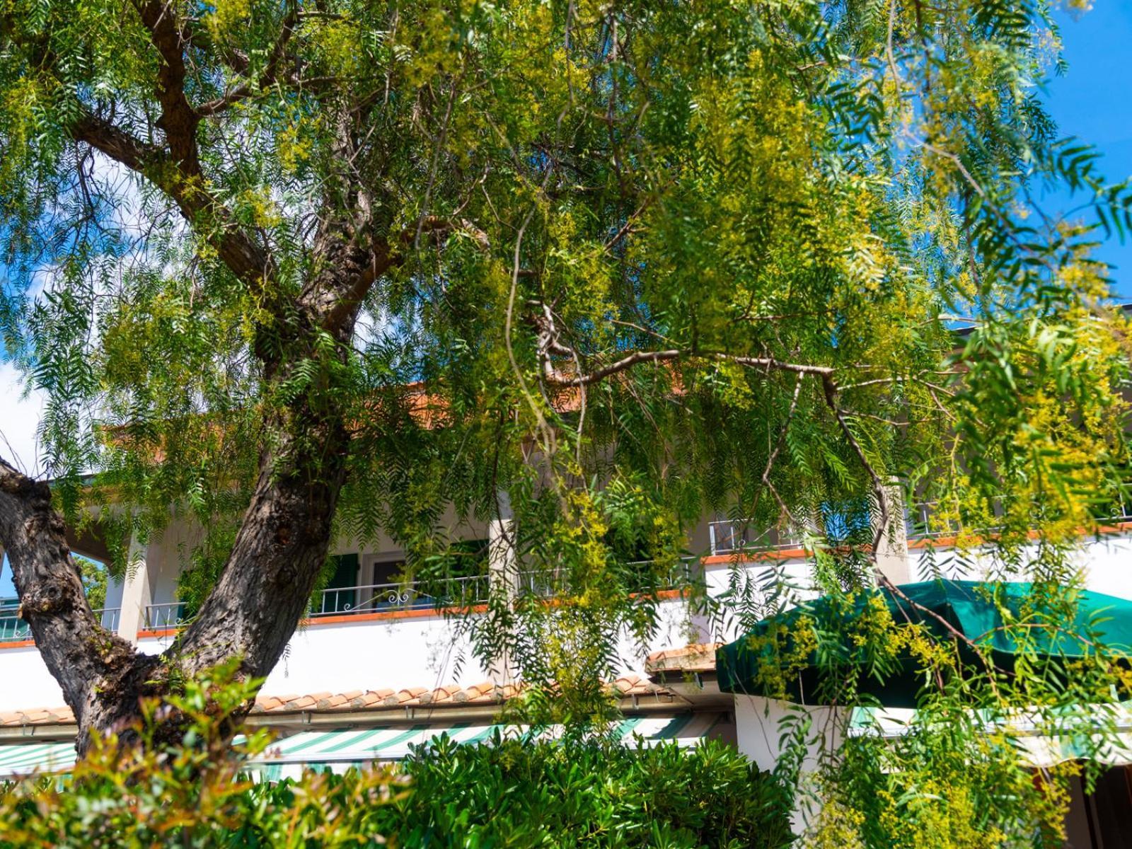 Residence Augusto Capoliveri  Ngoại thất bức ảnh